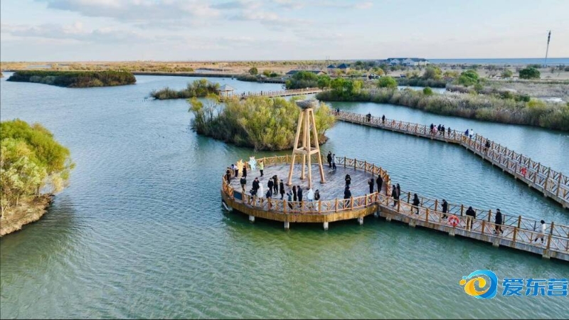 不必要犯规 不必要犯规