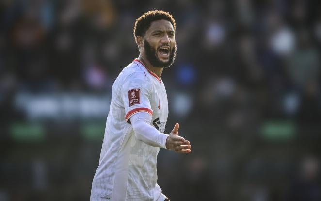 女足世界杯 女足世界杯