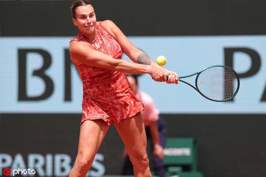 术和多样的 术和多样的