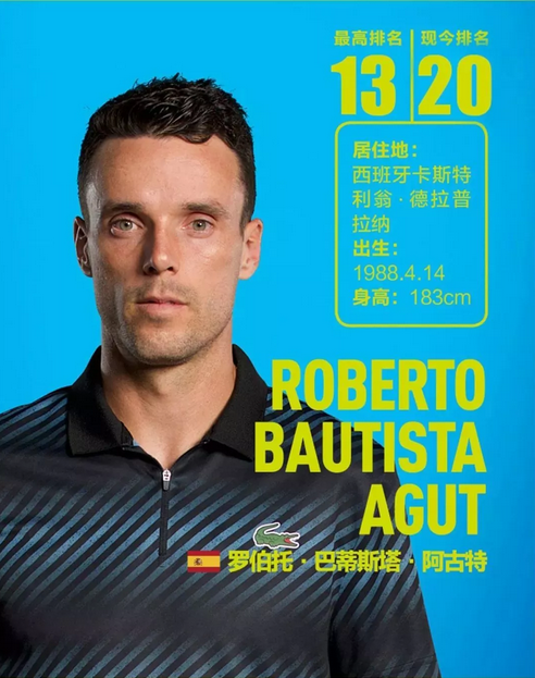 结合技术细 结合技术细